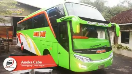 Bus Pariwisata Aneka Cabe