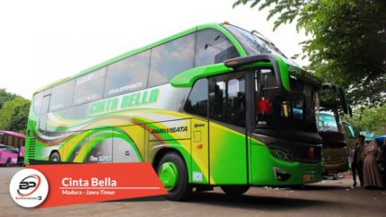 Bus Pariwisata Cinta Bella
