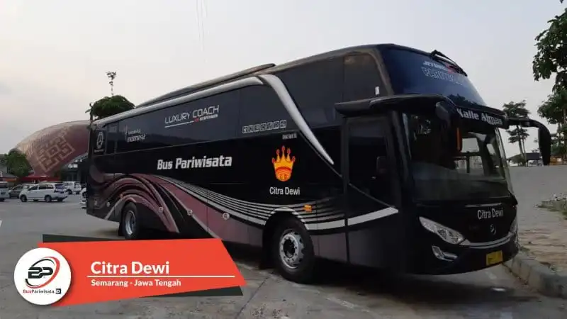 Bus Pariwisata Citra Dewi