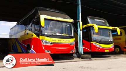 Bus Pariwisata Dali Jaya Mandiri