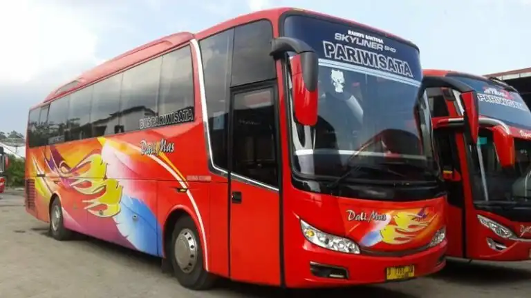 Dali Mas: Evolusi Armada Pariwisata dengan Sentuhan Mewah dan Kenyamanan