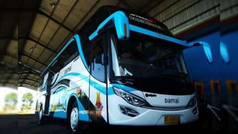 Informasi Foto dan Kontak Bus Pariwisata Damai Trans