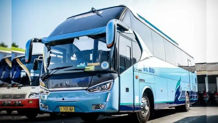 Big Bird: Menjelajah Nusantara dengan Armada Pariwisata Terpercaya – Panduan Lengkap Nomor Telepon dan Layanan