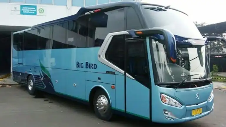 Informasi Lengkap Bus Pariwisata Big Bird - Bus-Pariwisata.id