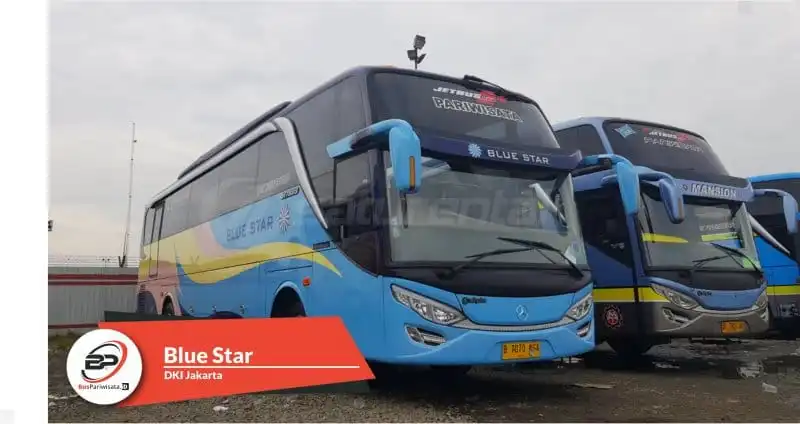 bus-pariwisata.id – foto bus pariwisata bue star a