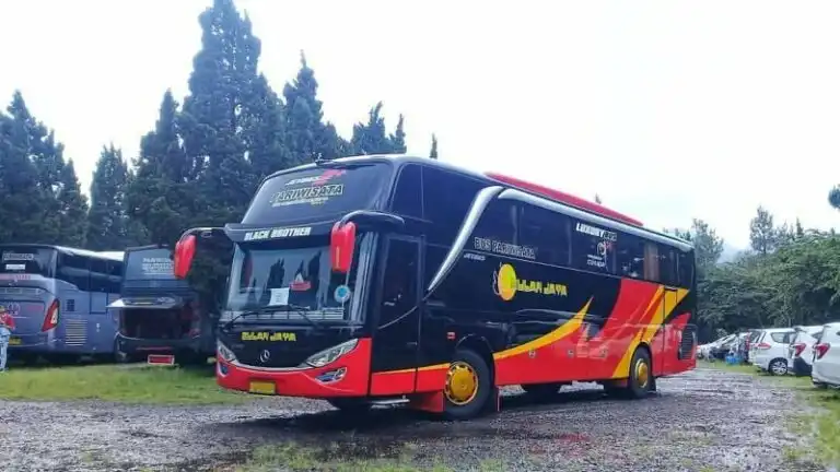 Bulan Jaya: Evolusi Armada Pariwisata dengan Sentuhan Modernitas