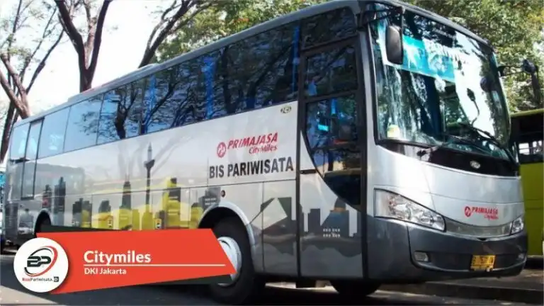 AlvinDo Trans dan City Miles: Mengupas Keunggulan Bus Pariwisata untuk Perjalanan Tak Terlupakan