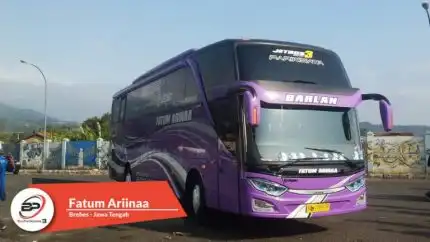 Bus Pariwisata Fatum Ariinaa