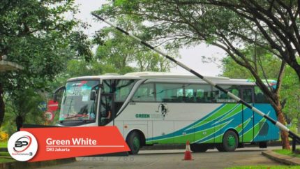 Bus Pariwisata Green White