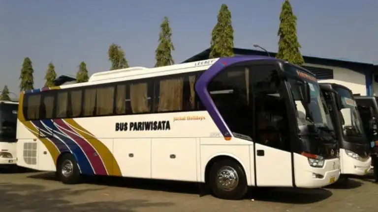 Jackal Holiday: Lebih dari Sekadar Bus, Sebuah Ekspresi Petualangan