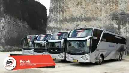 Bus Pariwisata Kerub