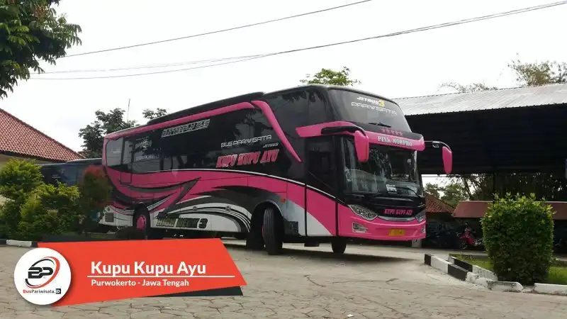 bus-pariwisata.id – foto bus pariwisata kupu kupu ayu a