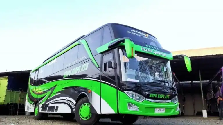 Kupu-Kupu Ayu: Mengudara di Jalan Raya, Menebar Pesona Pariwisata Purwokerto