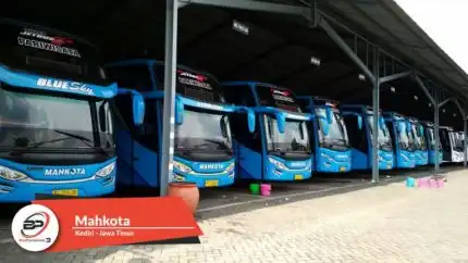 Bus Pariwisata Mahkota