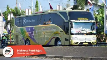 Bus Pariwisata Mahkota Putri Sejati