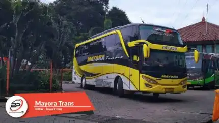 Bus Pariwisata Mayora Trans