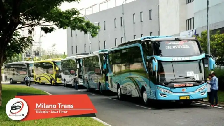 Milano Trans & Futsal: Sinergi Pariwisata dan Olahraga yang Menyegarkan