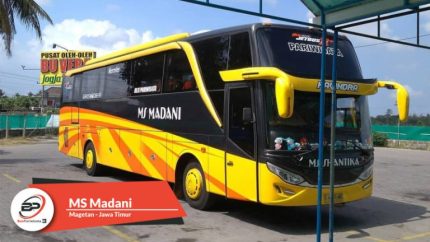 Bus Pariwisata MS Madani
