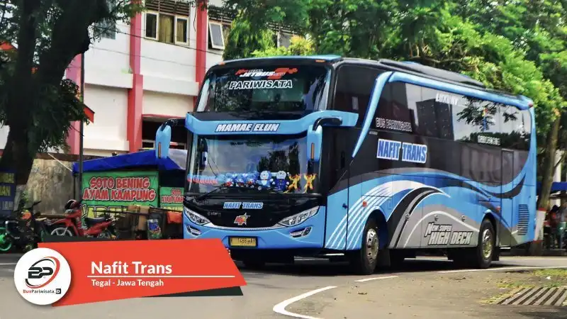 Bus Pariwisata Nafit Trans