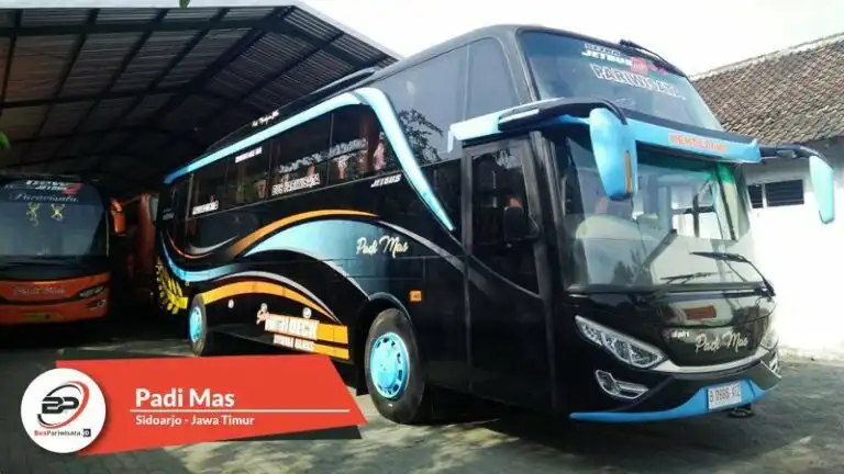 Legenda Jalan Raya: Mengupas Kisah di Balik MWD 555, Bus Pariwisata yang Ikonik (Belum Ada)