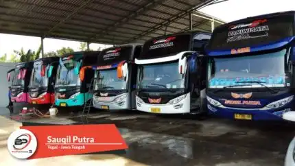 Bus Pariwisata Sauqil Putra