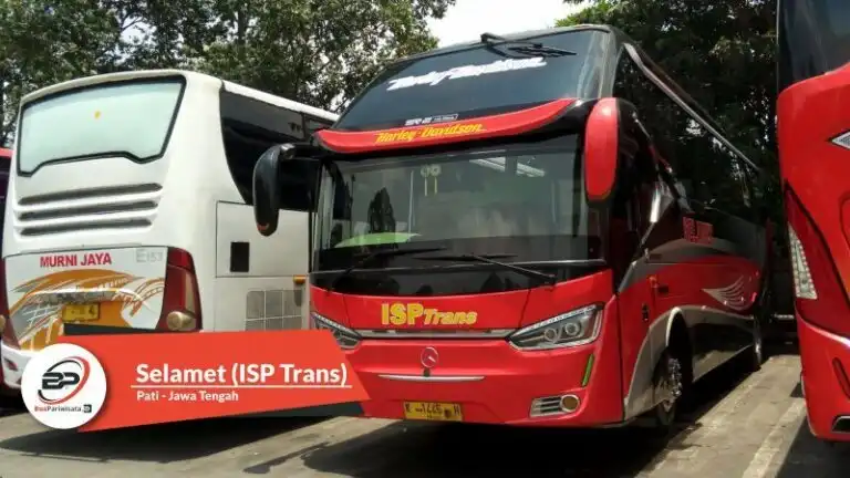 RD Trans: Mengarungi Jalan Raya dengan Kenyamanan dan Kemewahan