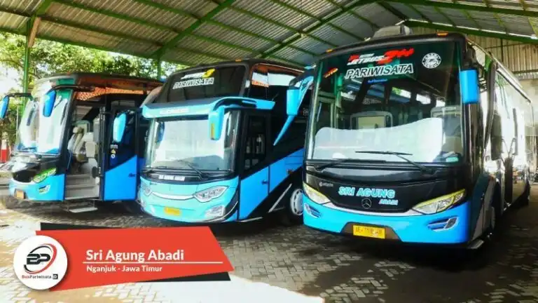 Evolusi Desain dan Teknologi Bus Pariwisata Indonesia Tahun 2019: Sebuah Kilas Balik Melalui Lensa Kamera