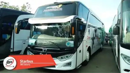 Bus Pariwisata Starbus