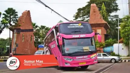 Bus Pariwisata Sumur Mas