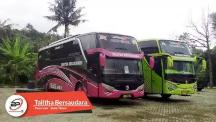 Bus Pariwisata Talitha Bersaudara
