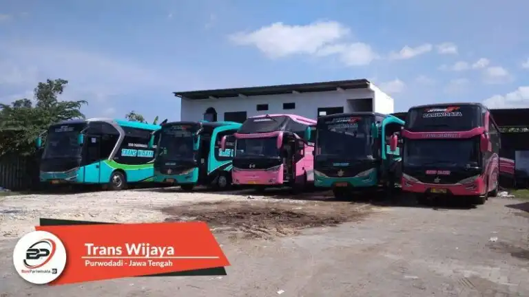 RD Trans: Mengarungi Jalan Raya dengan Kenyamanan dan Kemewahan