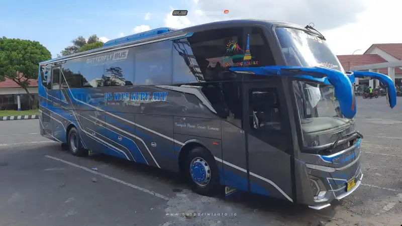 buspariwisata.id - foto bus pariwisata kupu kupu ayu b