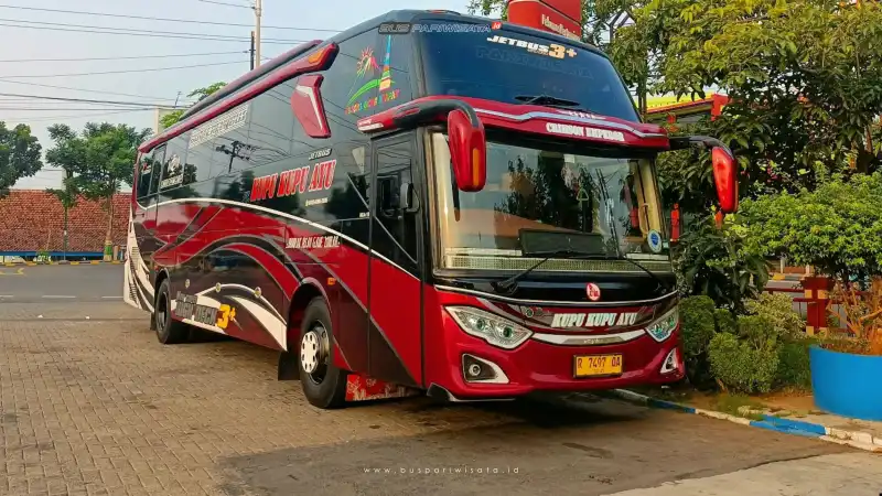 buspariwisata.id - foto bus pariwisata kupu kupu ayu c