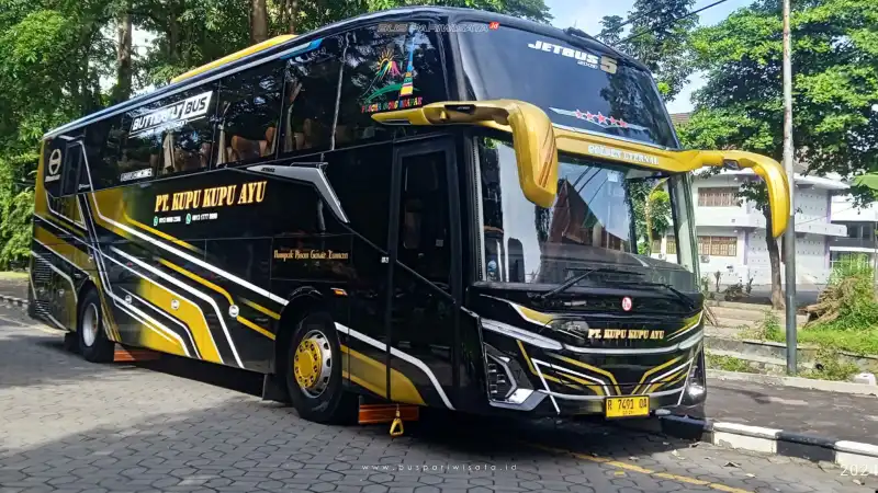 buspariwisata.id - foto bus pariwisata kupu kupu ayu e