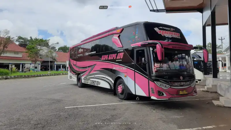 buspariwisata.id - foto bus pariwisata kupu kupu ayu f
