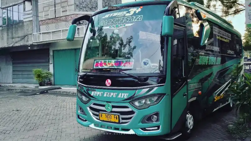 buspariwisata.id - foto medium bus pariwisata kupu kupu ayu b
