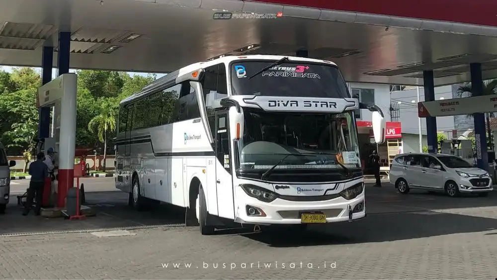 buspariwisata.id - foto bus pariwisata balideva transport b