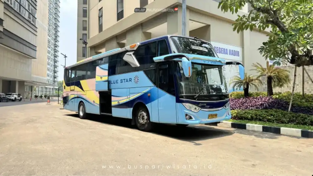 buspariwisata.id - foto bus pariwisata bue star d