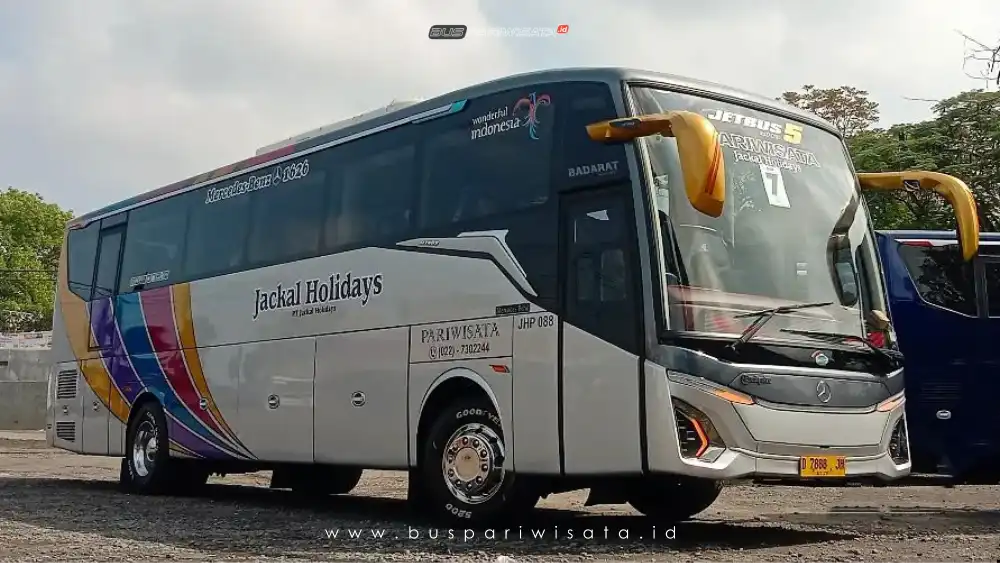 buspariwisata.id - foto bus pariwisata jackal holidays c