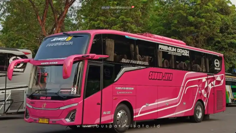 buspariwisata.id - foto bus pariwisata subur jaya m