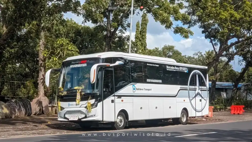 buspariwisata.id – foto medium bus pariwisata balideva transport a