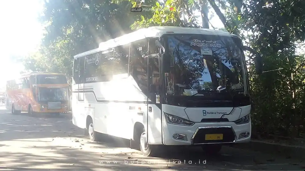 buspariwisata.id - foto medium bus pariwisata balideva transport c