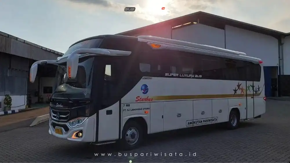 buspariwisata.id - foto medium bus pariwisata starbus c