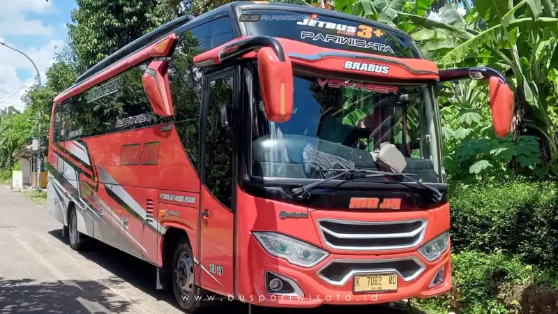 buspariwisata.id - foto medium bus pariwisata subur jaya c
