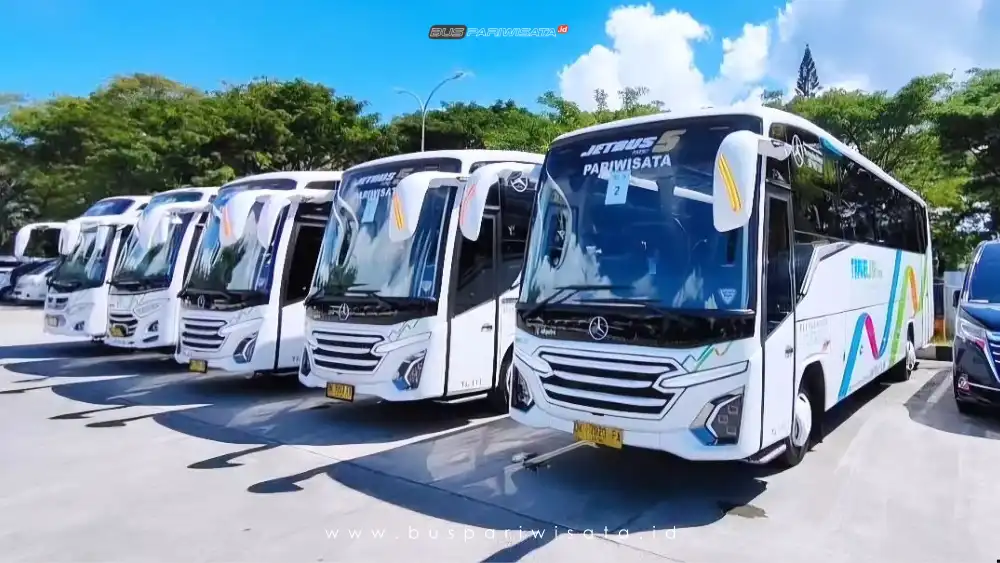 buspariwisata.id – foto medium bus pariwisata travelink c