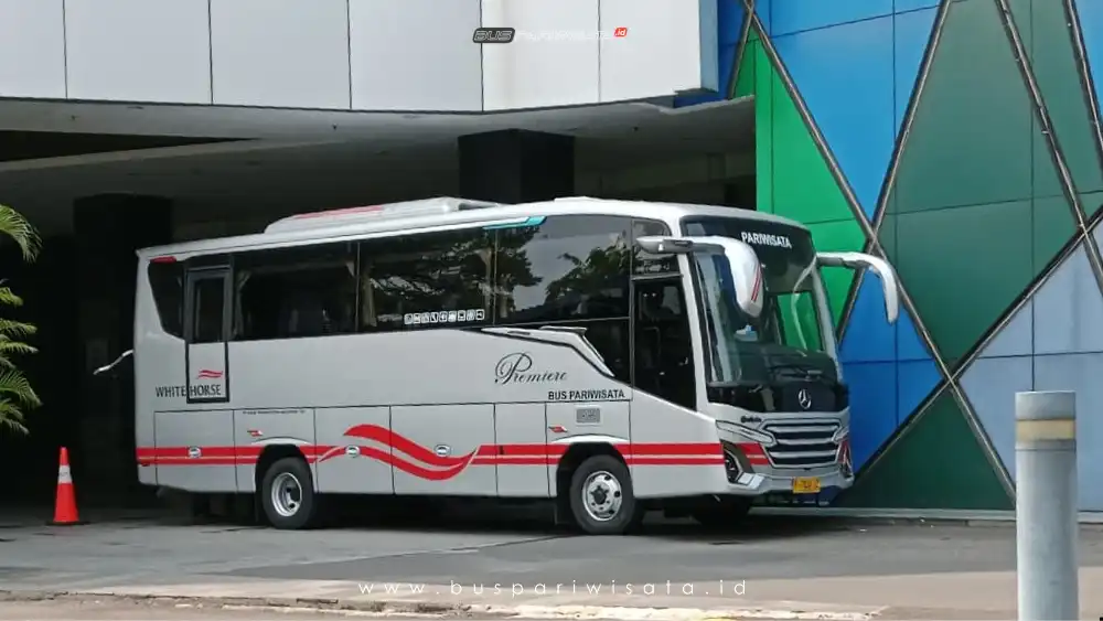 buspariwisata.id - foto medium bus pariwisata white horse a