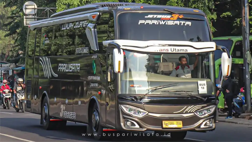 buspariwisata.id - foto bus pariwisata city trans utama d