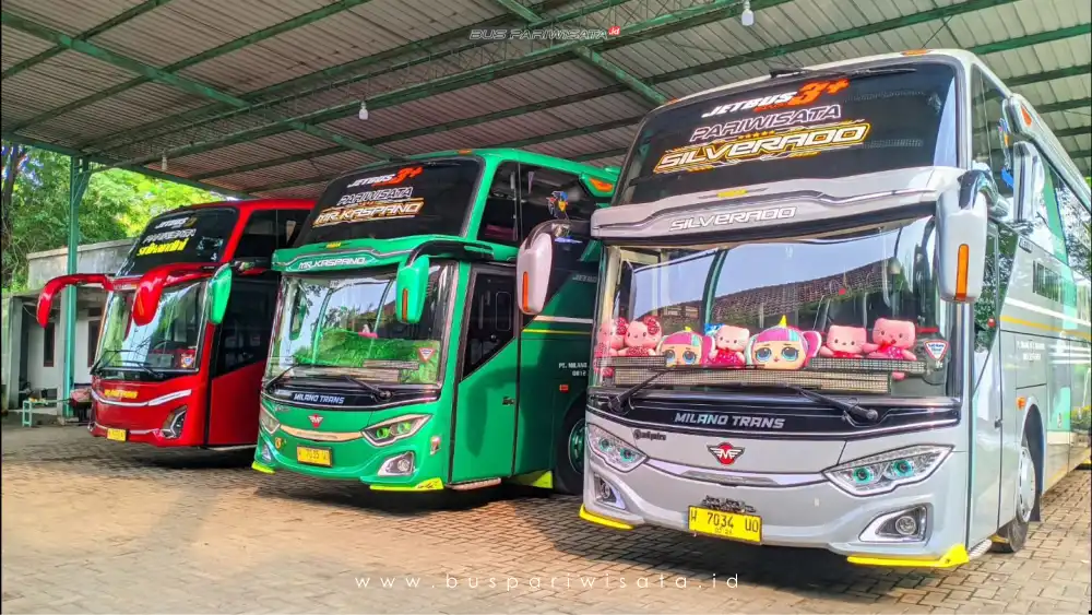 buspariwisata.id - foto bus pariwisata milano trans c
