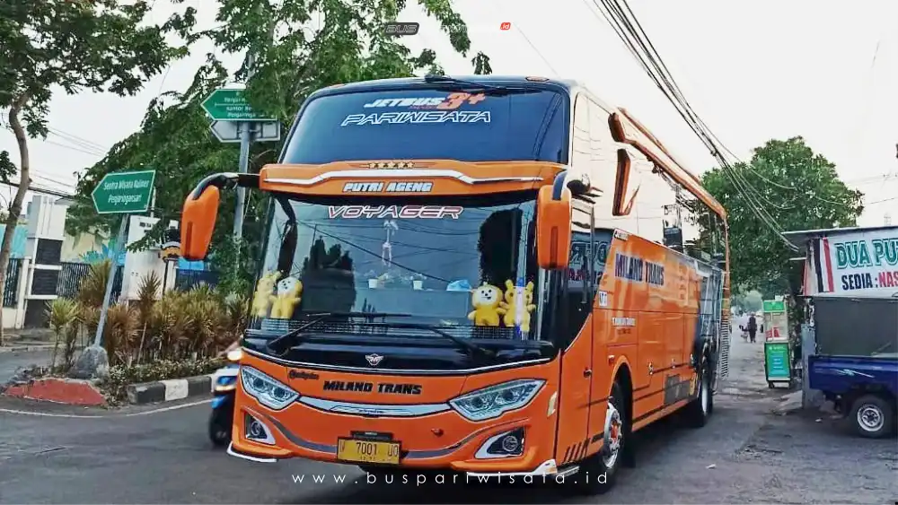 buspariwisata.id - foto bus pariwisata milano trans d