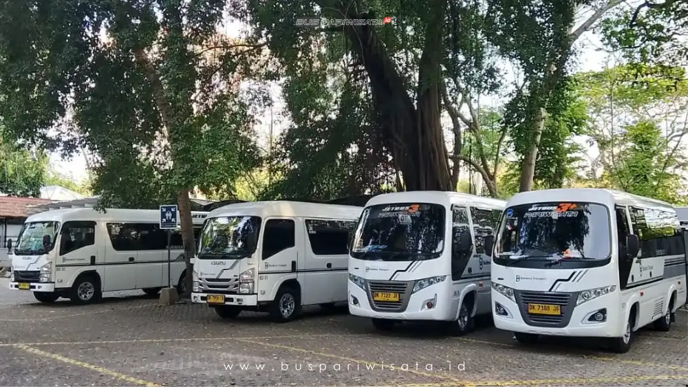 buspariwisata.id - foto elf coaster pariwisata balideva transport b